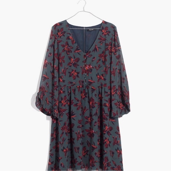 Madewell Sheer Ruffle Sleeve Mini Dress - Picture 3 of 13